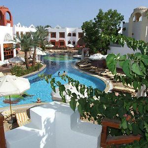 Міні-готель Sharm Amarein